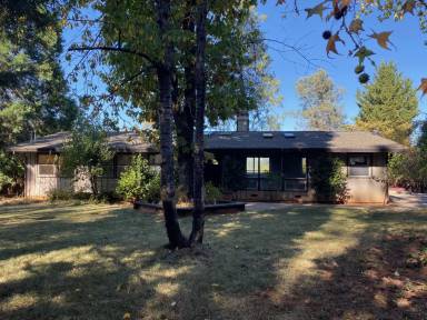 Main picture of 12798 Ridge Rd
