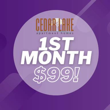 Main picture of Cedar Lake Apartments