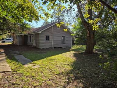 Main picture of 405 S Berrien St