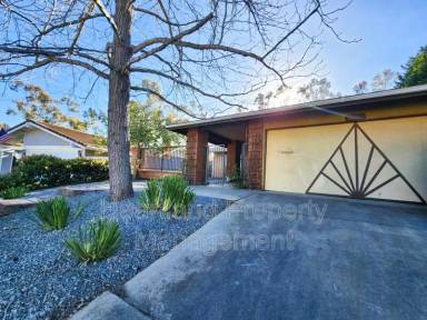 Main picture of 11323 Tribuna Ave