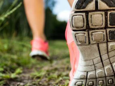 Main picture of Lakeview Garden Apartments