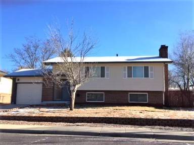 Main picture of 515 Syracuse St