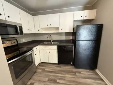 Main picture of Updated ground floor unit across from Madison Park