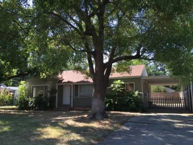 Main picture of 262 White Ave