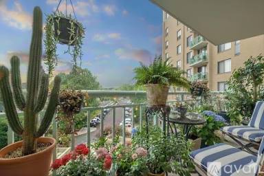 Main picture of Marina Towers Condominium
