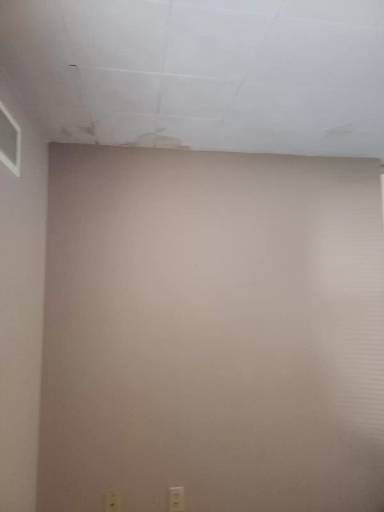 Main picture of 206 Harold St