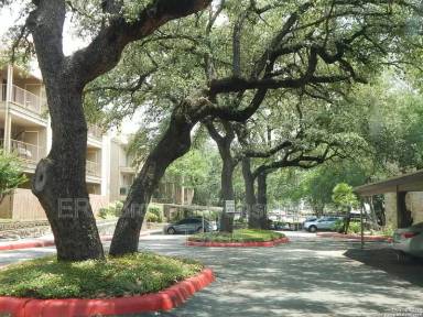 Main picture of 4119 Medical Dr Condos