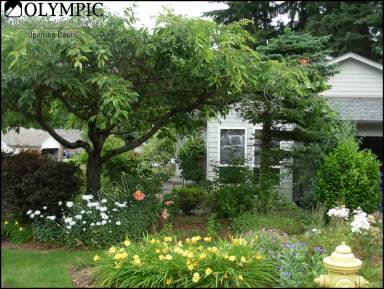 Main picture of 2310 Woodfield Loop SE