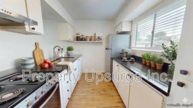 Main picture of The Coho