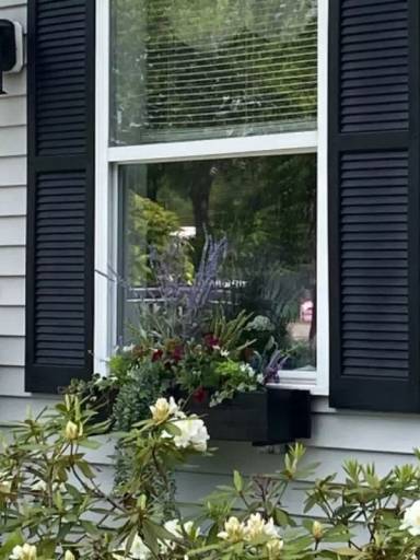 Main picture of 46 Falmouth Rd