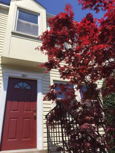 Main picture of 88 N Bedford St