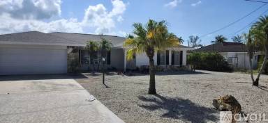 Main picture of 1666 Sabal Palm Dr
