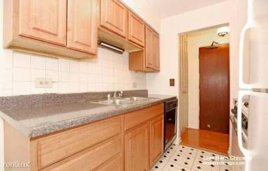 Main picture of 535 W Briar Apartments