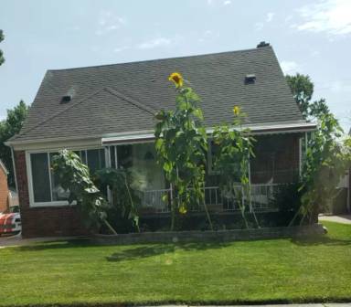 Main picture of 13197 Netherwood St