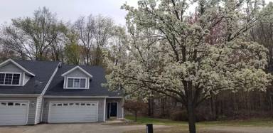Main picture of 3537 Butternut Dr