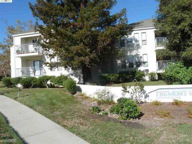 Main picture of 39455 Albany Cmn