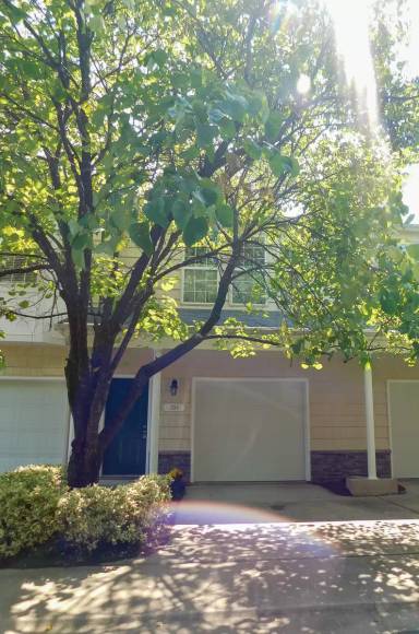 Main picture of 3161-204 Hemlock Forest Circle