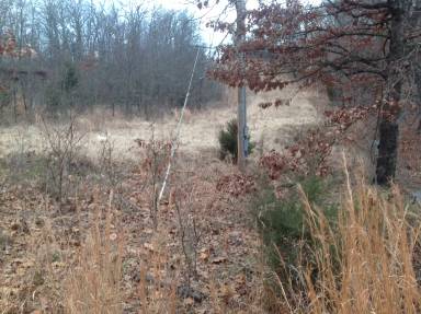 Main picture of 35984 Owl Dr