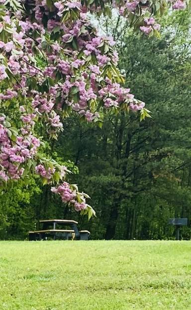 Main picture of West Meadows