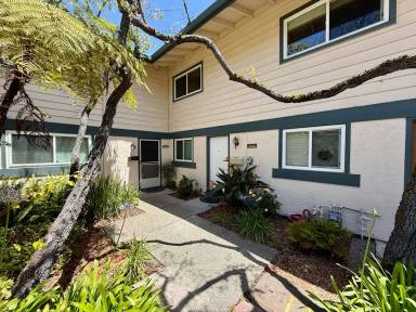 Main picture of 1254 Terra Nova Blvd
