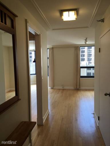 Main picture of 401 E Ontario Condos