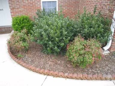 Main picture of 195 Chestnut Oak Cir