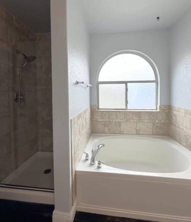 Main picture of 11822 Lemonmint Pkwy