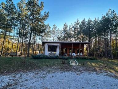 Main picture of 176 County Road 215