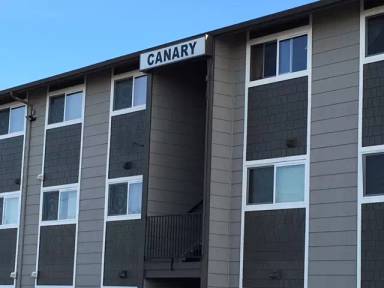 Main picture of Canary Apartments