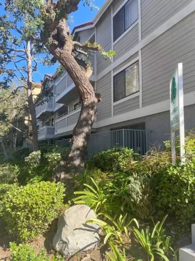 Main picture of 4608 Vista del Monte Ave