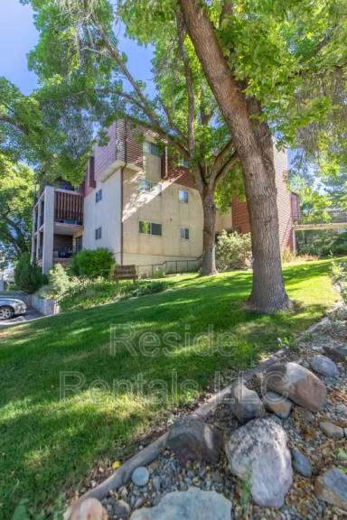 Main picture of 255 Temple Ave