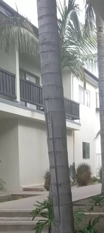 Main picture of 10726 Orange Grove Ave