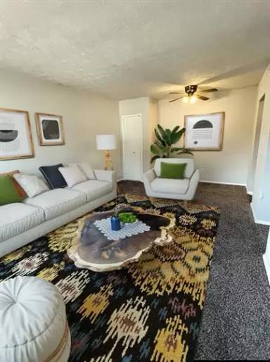 Main picture of Flats of Devonport