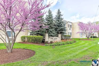 Main picture of Villa Garden