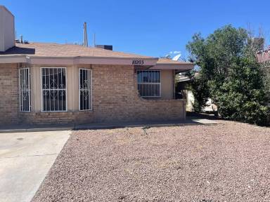 Main picture of 10203 Niagara Falls Pl