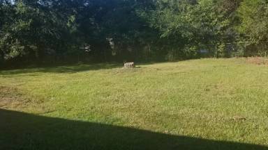 Main picture of 5246 Saint Marys Rd