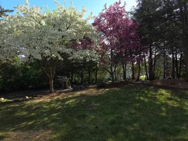 Main picture of 22 Springbrook Bay