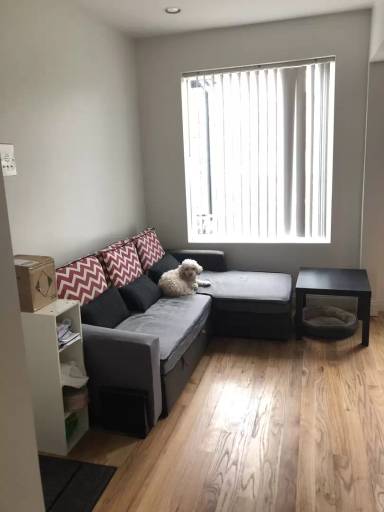 Main picture of 555 Winchester Ave