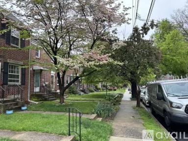 Main picture of 529 E Frederick St
