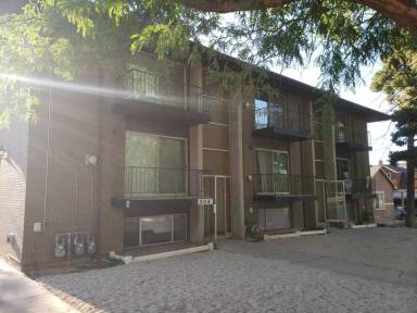 Main picture of Cedar Apartments