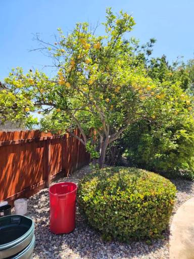 Main picture of 11535 Eaglesview Ct