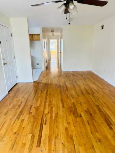 Main picture of 24 Elliott St