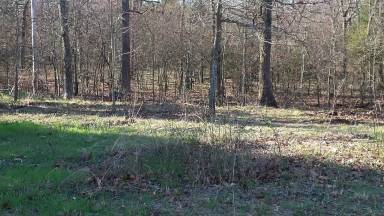Main picture of 35984 Owl Dr