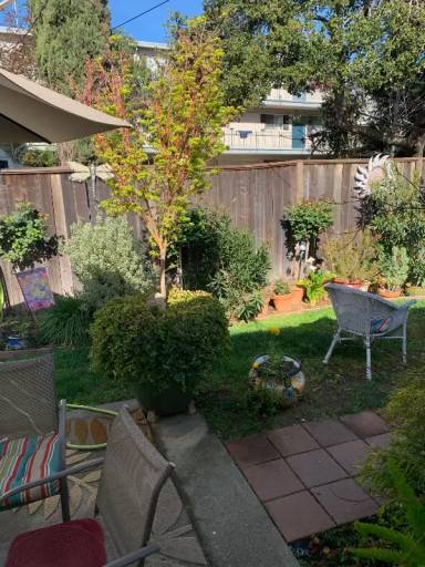 Main picture of 1135 4th St