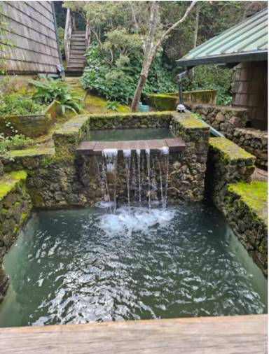 Main picture of 19 Spring Rd