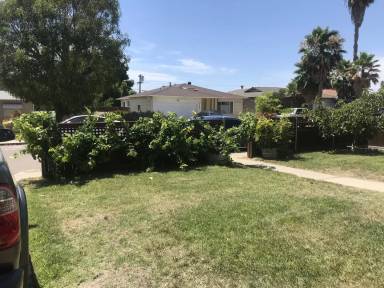 Main picture of 4441 Berting St