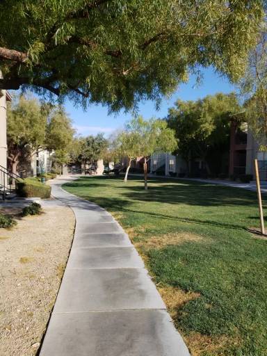 Main picture of Coronado Palms