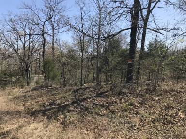 Main picture of 35984 Owl Dr