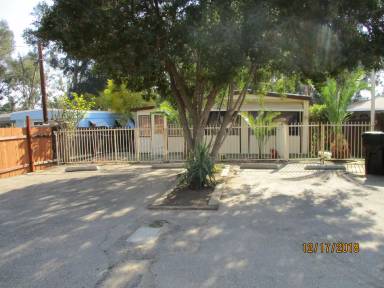 Main picture of 18291 Tereticornis Ave