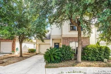 Main picture of 6130 Pecan Tree